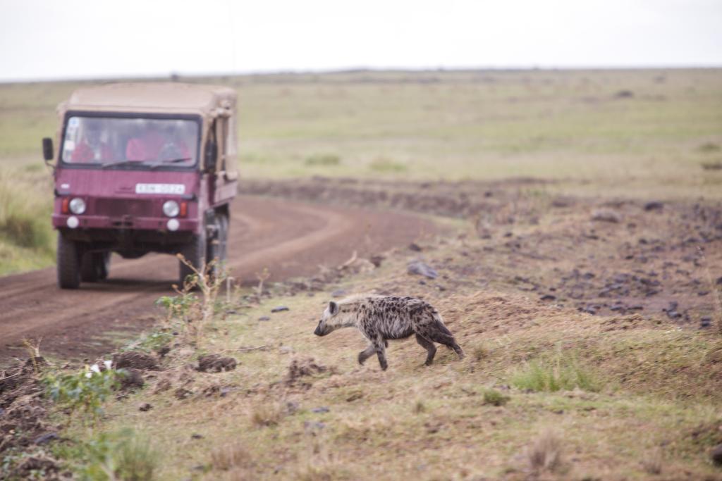 Mara Engai Lodge Lolgorien Eksteriør billede