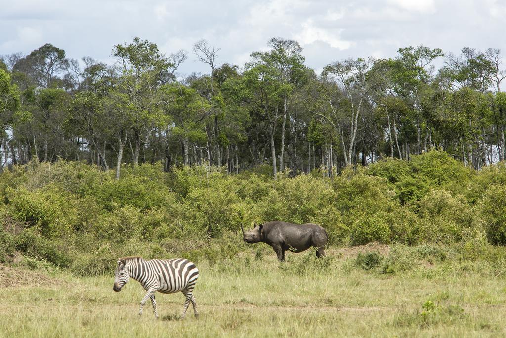Mara Engai Lodge Lolgorien Eksteriør billede