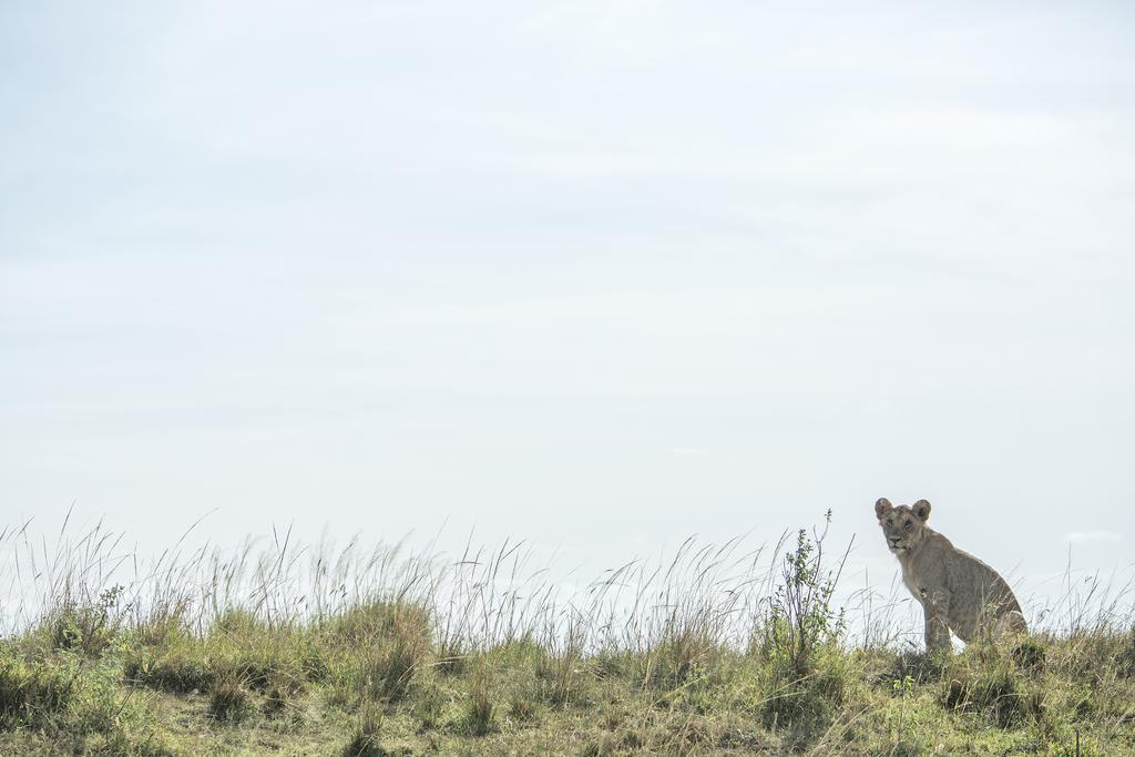 Mara Engai Lodge Lolgorien Eksteriør billede