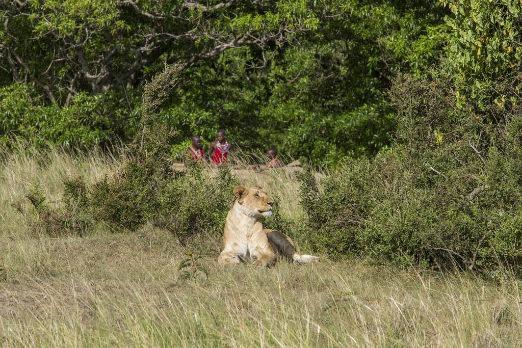 Mara Engai Lodge Lolgorien Eksteriør billede