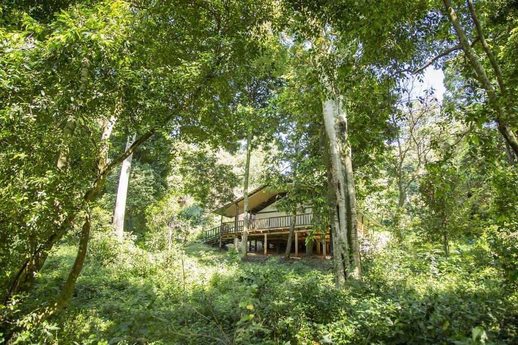 Mara Engai Lodge Lolgorien Eksteriør billede